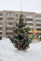 Ёлка во дворе по Семашко.jpg